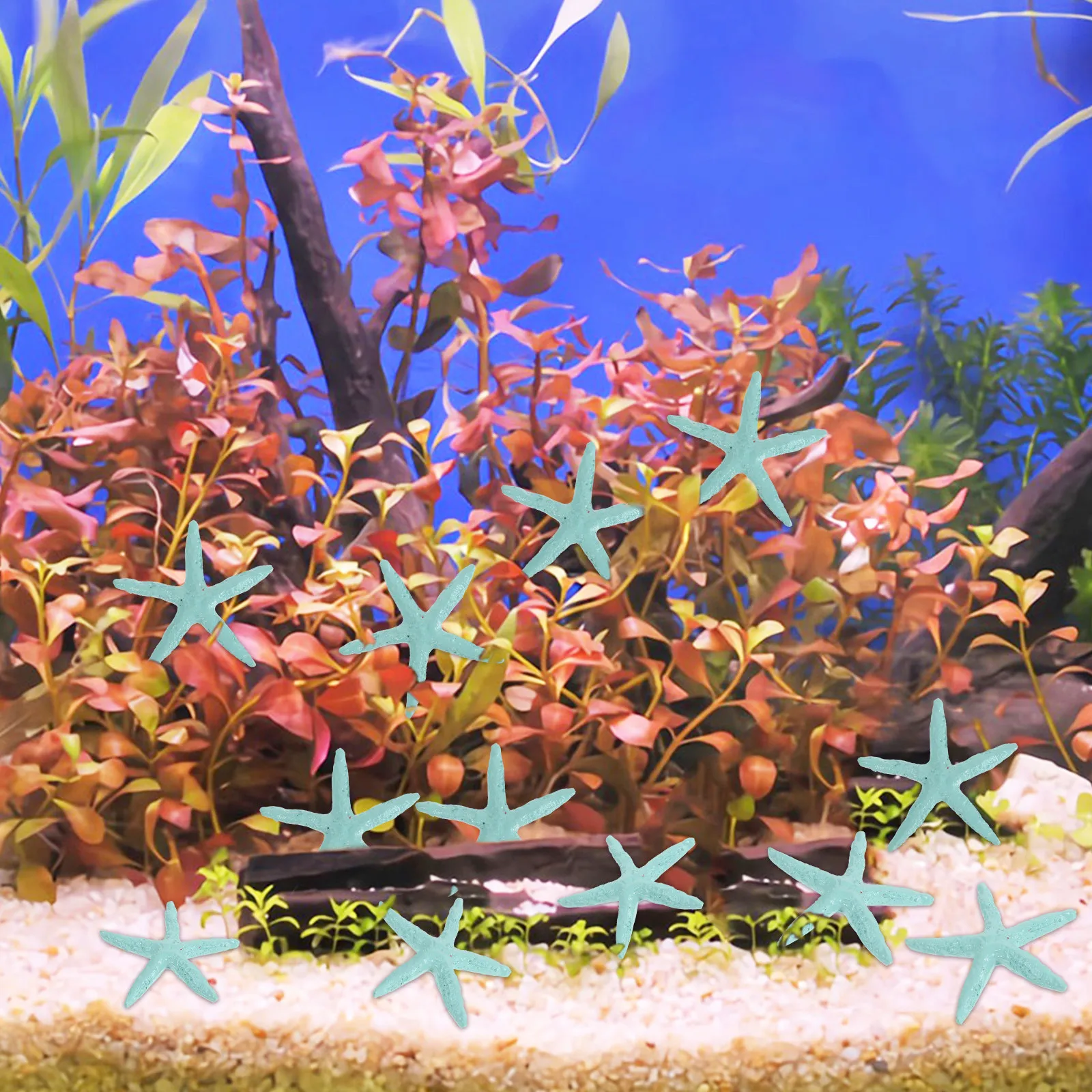 Aquarium Fish Unique - 24Pcs 수지 바다 별 장식품 독특한
