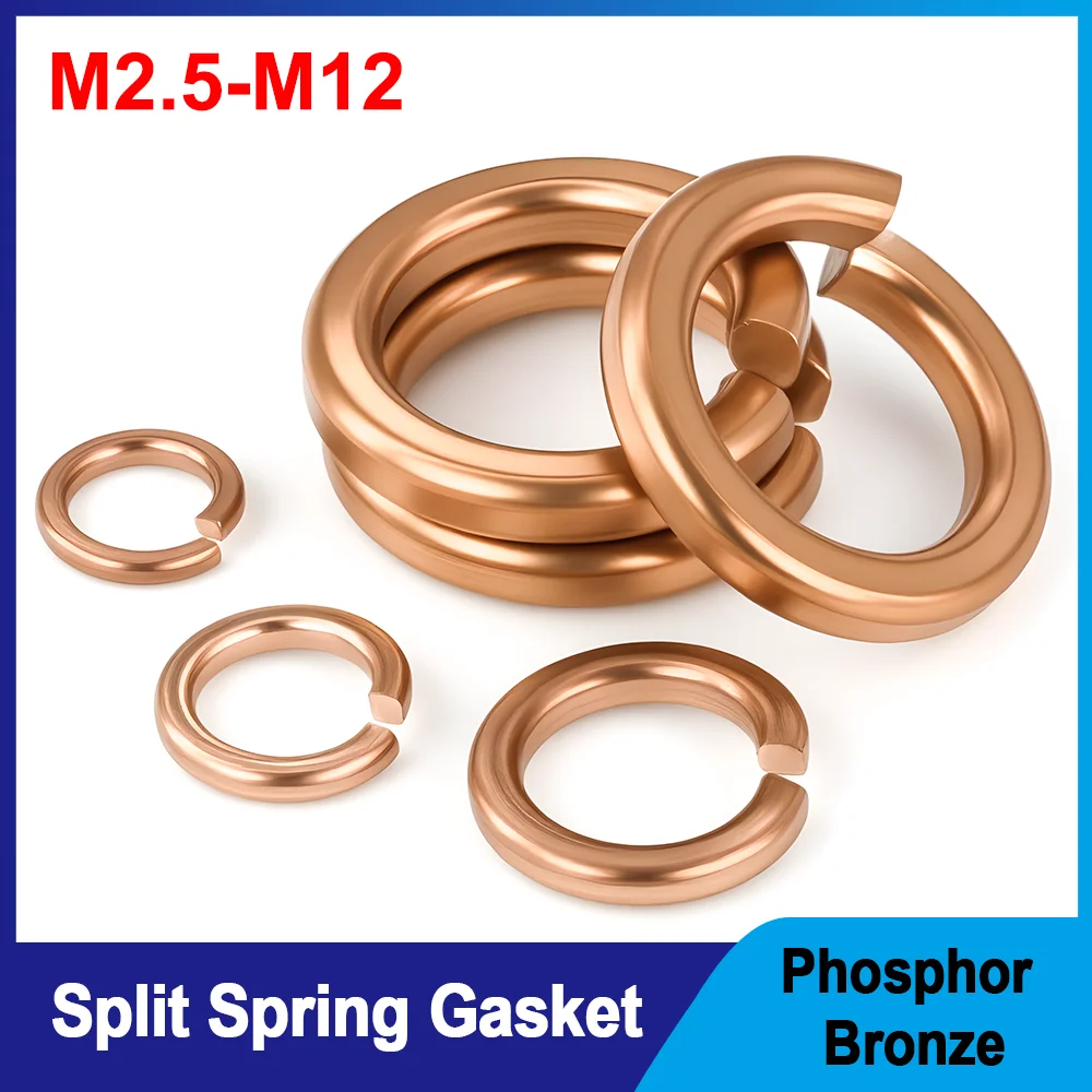 M2.5 M3 M4 M5 M6 M8 M10 M12 Phosphor Bronze Copper Split Spring Gaskets Electrical Spacing Washers Spacers Washers Fasteners