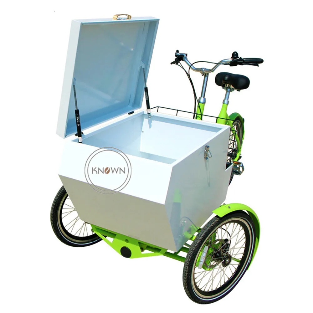 Ce Adult 3 Wheels Cargo Trike Pedal Electric Goods Bike With Cover Shipping By Sea