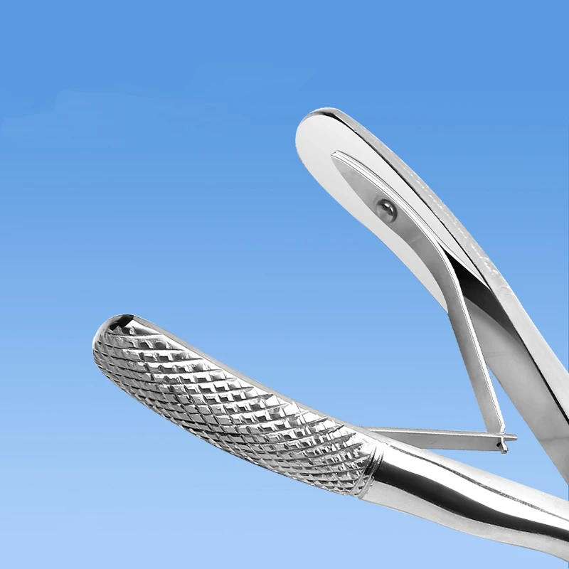 Adult Tooth Extraction Forceps Wisdom Tooth Deciduous Tooth Forceps Maxillary and Mandibular Tooth Forceps Dental Oral