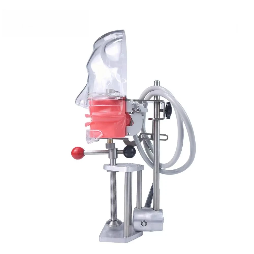 Dental Simulator Manikin Dental Phantom Head Model Dental Training Simulation Unit with 32/28Pcs Teeth