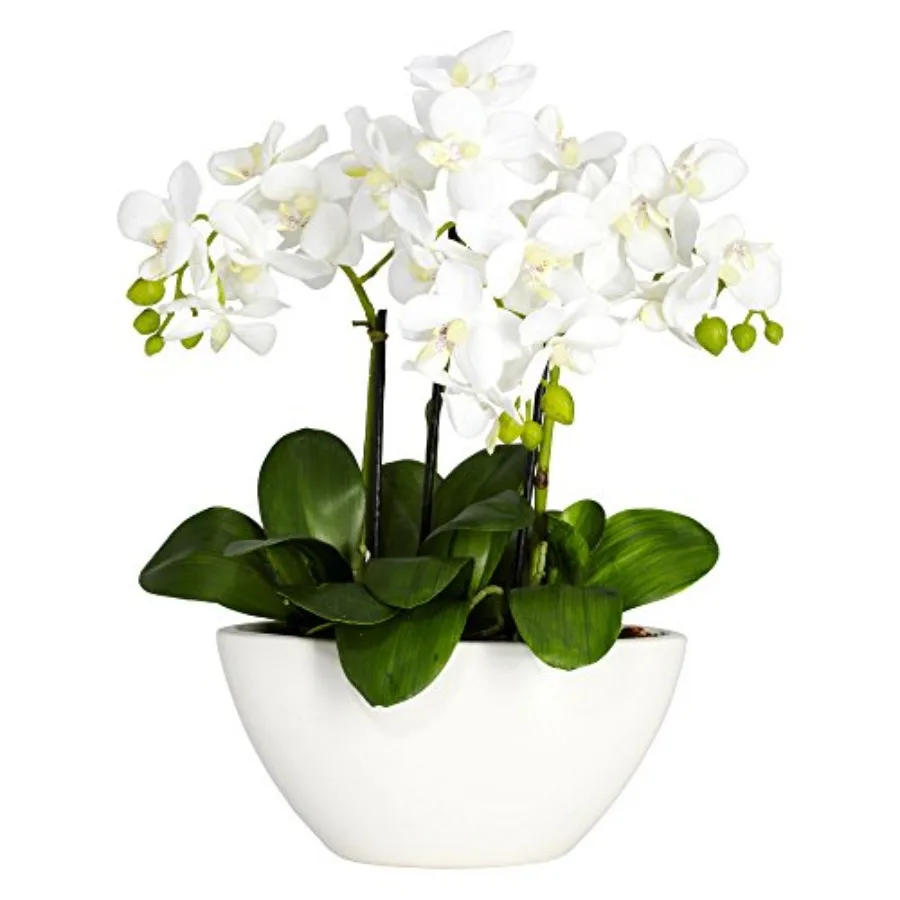 

Элегантная шелковая цветочная композиция Phalaenopsis для домашнего декора, свадебные центральные элементы и акцент для гостиной, реалистичный дизайн с ду