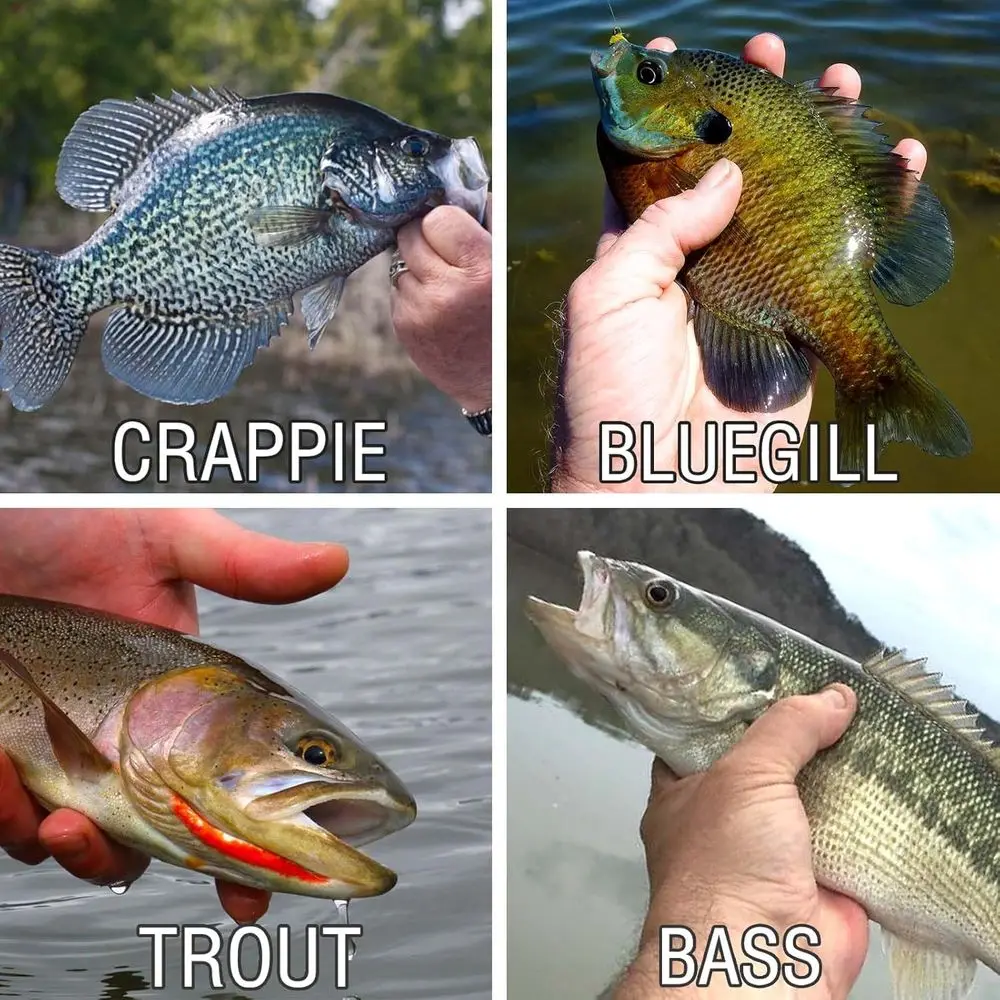 Kit da pesca Crappie da 135 pezzi: teste e ganci per esche morbide: ideale per trota, spigola, walleye, bluegill, pesce persico e pesce gatto