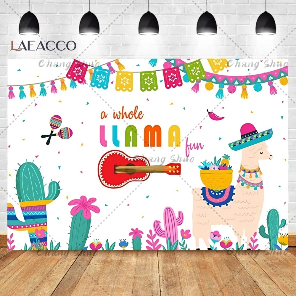 Mexican Fiesta Background With Cactus And Sombrero Decoration Cinco De Mayo Festival Birthday Banner Photography Backdrop