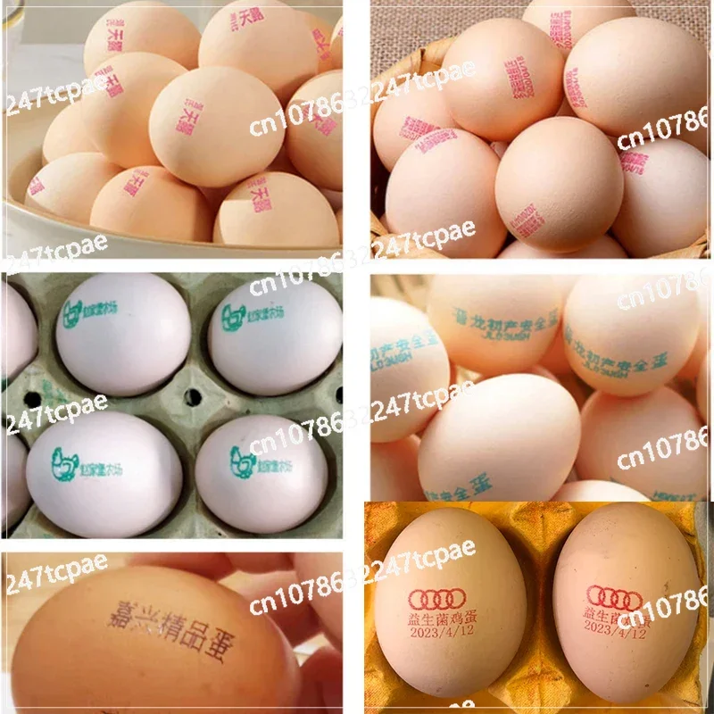 طابعة البيض الأوتوماتيكية صينية البيض آلة الطباعة النافثة للحبر دفعة رمز التاريخ شعار الدجاجة بطة حمامة البيض بمناسبة معدات ختم #4