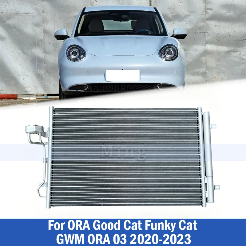 Car Air Conditioner Condenser Assembly For ORA Good Cat Funky Cat GWM ORA 03 2020-2023 8105100XNW01A