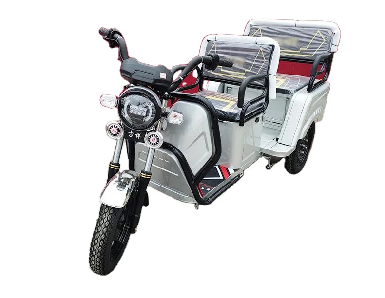 

600w Electric Tricycle 800w for Adults 3 Wheel Electric Cargo Bike