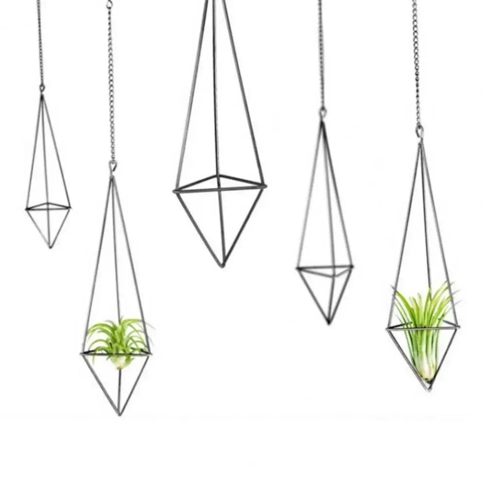 1 Set Air Plant Holder  Easy to Install   Tillandsia Hanger Unique Hanging Air Plant Holder Tillandsia Planter