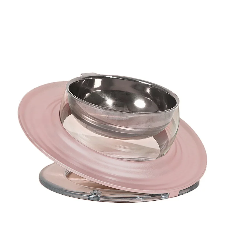 

Stainless Steel Elevated Cat Bowl Tilted Cat And Small Dog Food Bowls To Improve Digestion And Reduce Neck Strain Easy