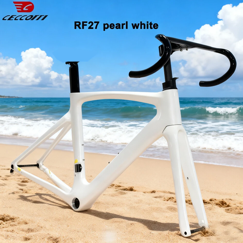 

CECCOTTI RF27 model Carbon Frame DIY Color Disc Brake Bike Frame And Full Hidden Cable Ruting bicycle Frameset