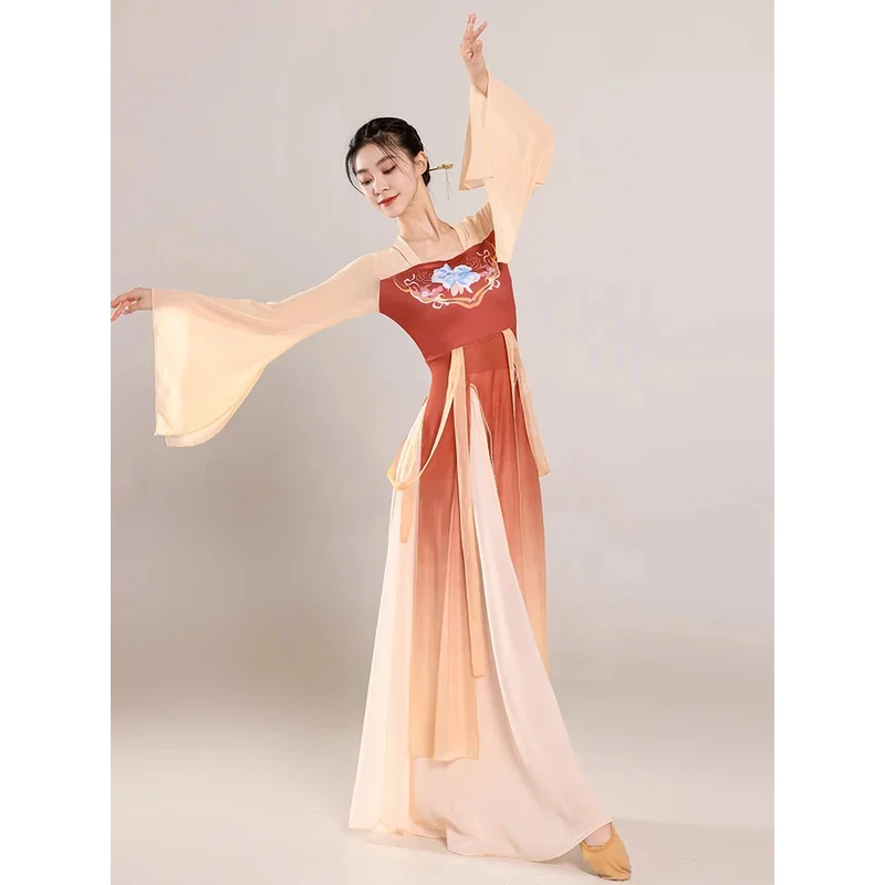 Classical Dance Costume Women Chinese Dance Practice Clothes Fluttering Long Sarong Costume Stage DanceWear Performance