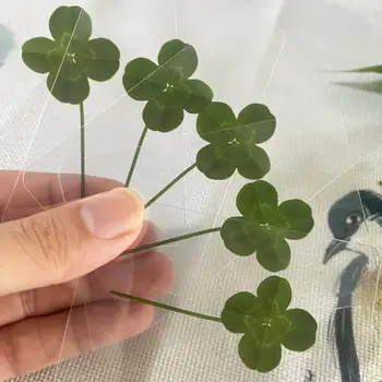 8 最佳銷售 願望清單 - №6