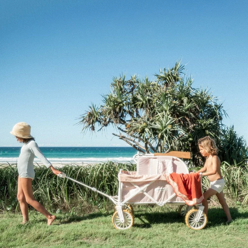 Portable Outdoor Folding Beach  Elderly Children Shopping Wogon Big Balloon Foldable Camping Handcart Metal Plastic Tool - Image 4