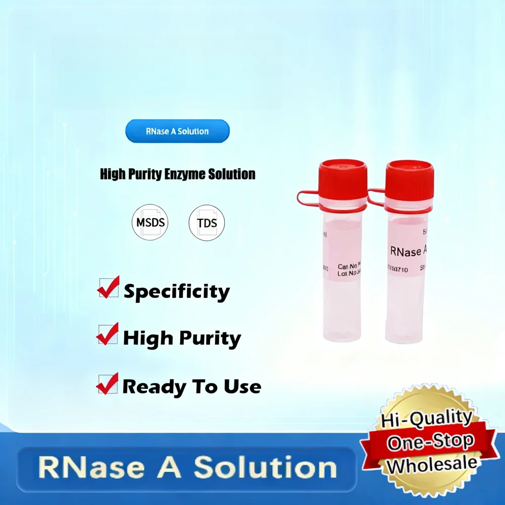 Rnase Una solución para la digestión de Rna en biología molecular y aplicaciones de laboratorio Producto original