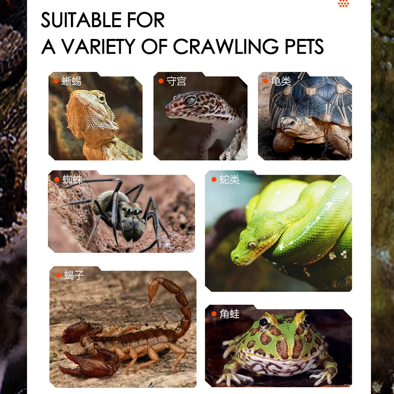 Thumbnail 3 - #28 Cheap Reptile Heat Lamps Worth Buying