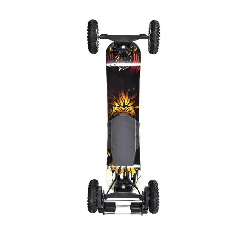 

Hot Sell Direct Drive Electric-Longboard Mountain Skateboard