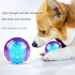 Dogball Decompress And Relieve Stress Food Grade Tpr Dog Bouncing Ball Dog Toys Spiky Ball Special Texture Surface Dog Supplies