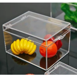 9 Sizes Plastic Box Transparent Small Box Rectangular Insect Shell Specimen Collection Display Box Desktop Storage Box