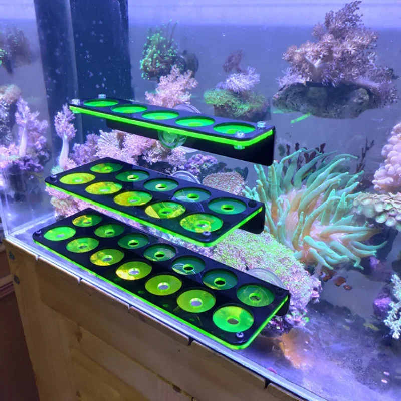 Fish Tank Fluorescent Coral Frag Bracket Coral Growing Holder Acrylic Coral Rack Marine Reef Stand Aquarium Accessories