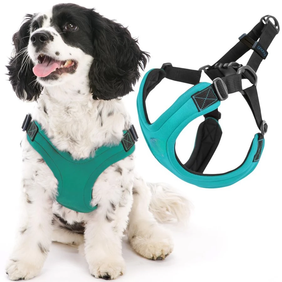 

Escape Free Sport Harness Turquoise, Large No Choke Stepin Patented Neoprene Small Dog Harness, FourPoint Adjustment Perfect on
