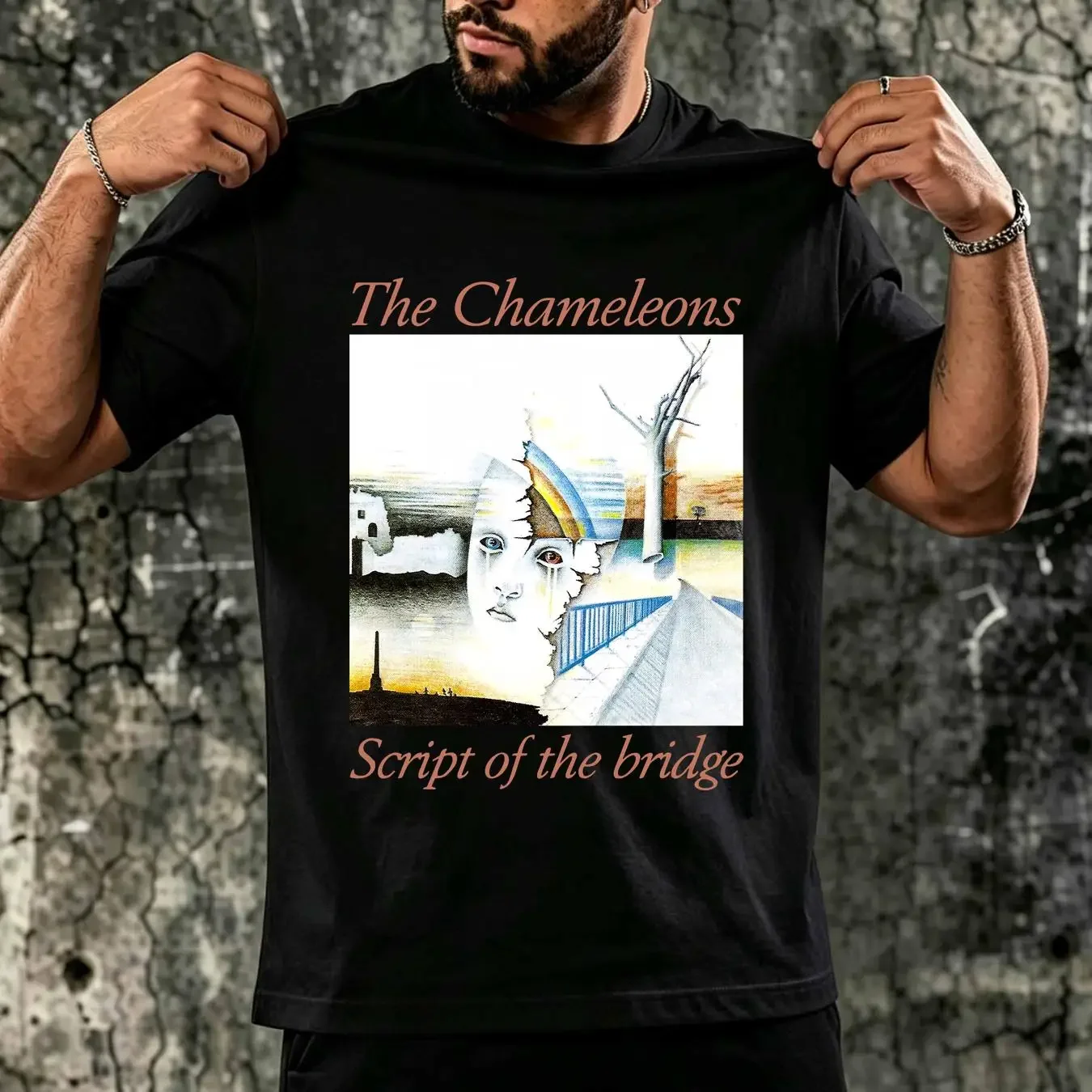 washed T Shirt RK80S 369 WT THE CHAMELEONS SCRIPT OF BRIDGE SIZE S 5XL vintage Washed Top For Everyday Wear Unisex Breathable