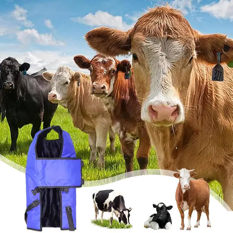 Calf Coats For Winter Livestock Blue Calf Jacket Oxford Fabric Soft Windproof Calf Jacket Thickened Livestock Vest Waterproof