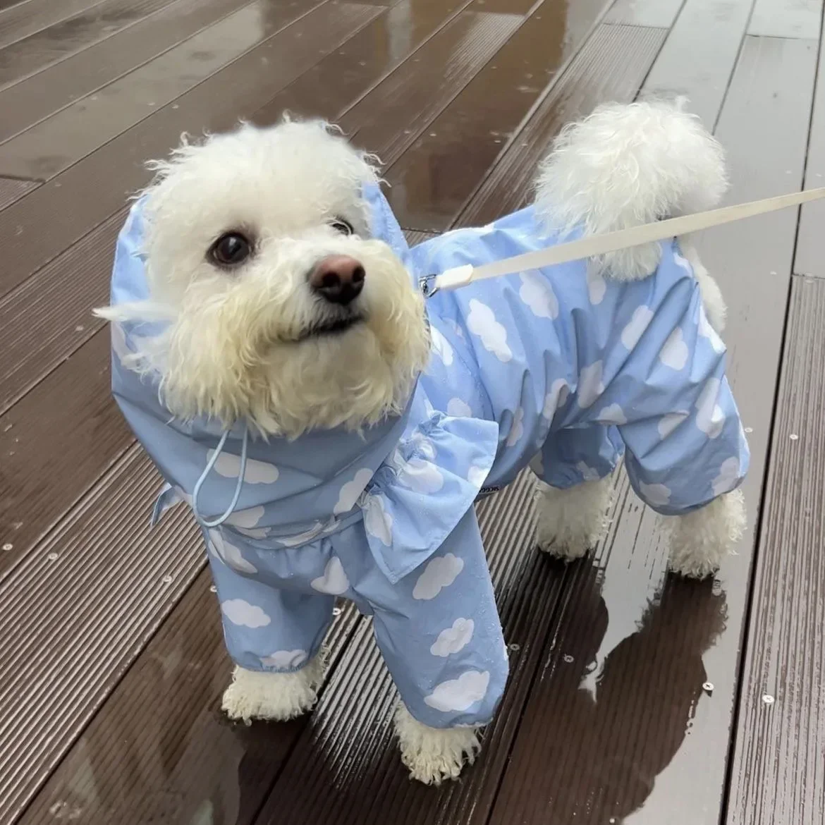 Cute Clouds Love Dog Raincoat Tpu Thickened Waterproof All-Inclusive Rain Poncho Pet Puppy Hooded Four-Legged Coat Dog Clothes