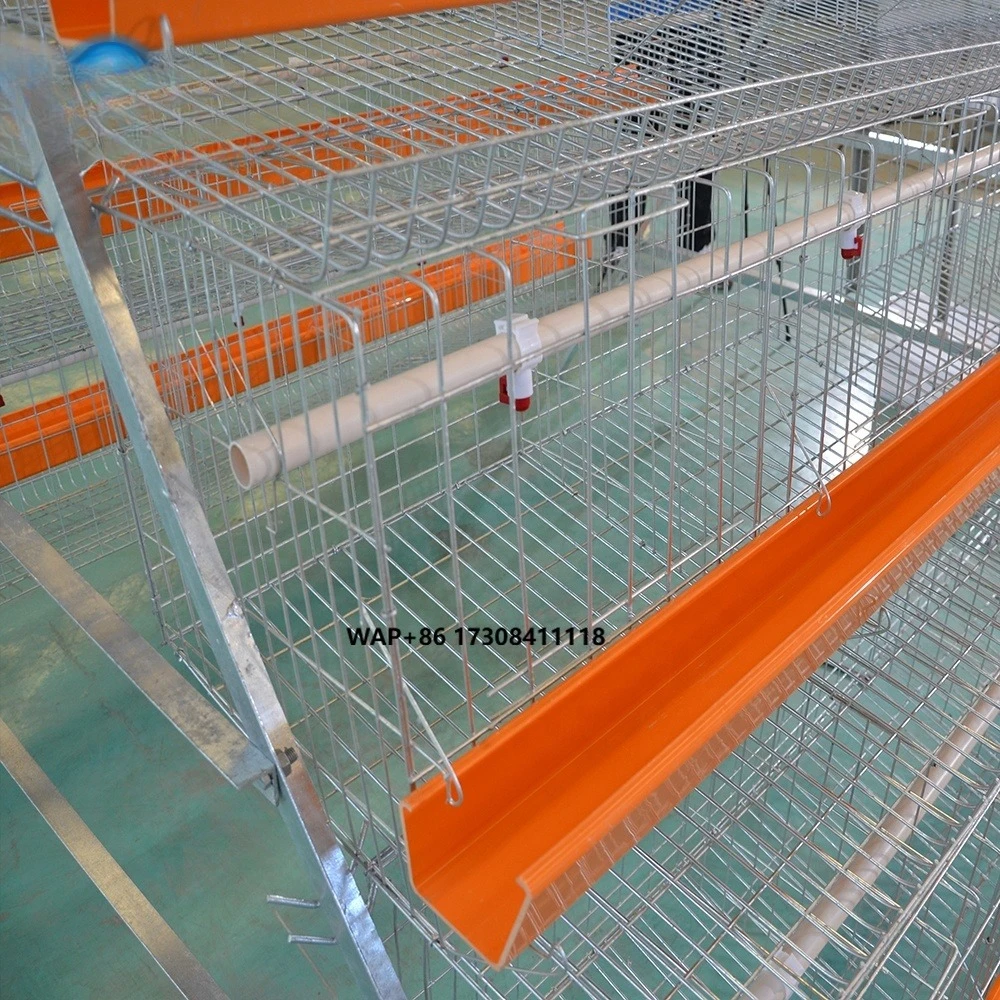 

Poultry Farm House a Type Layer Galvanized Welded Wire Mesh Egg Chicken Cage
