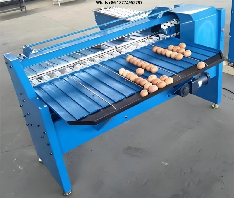 Automatic Egg Grading Machine Egg Grader Automatic Chicken Egg Sorting Machine Hot Sale