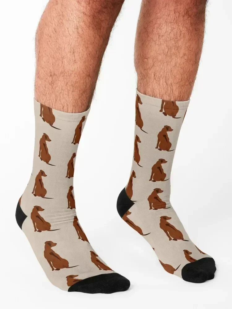 Rhodesian ridgeback Socks sports and leisure loose football new year Luxury Woman Socks Men's
