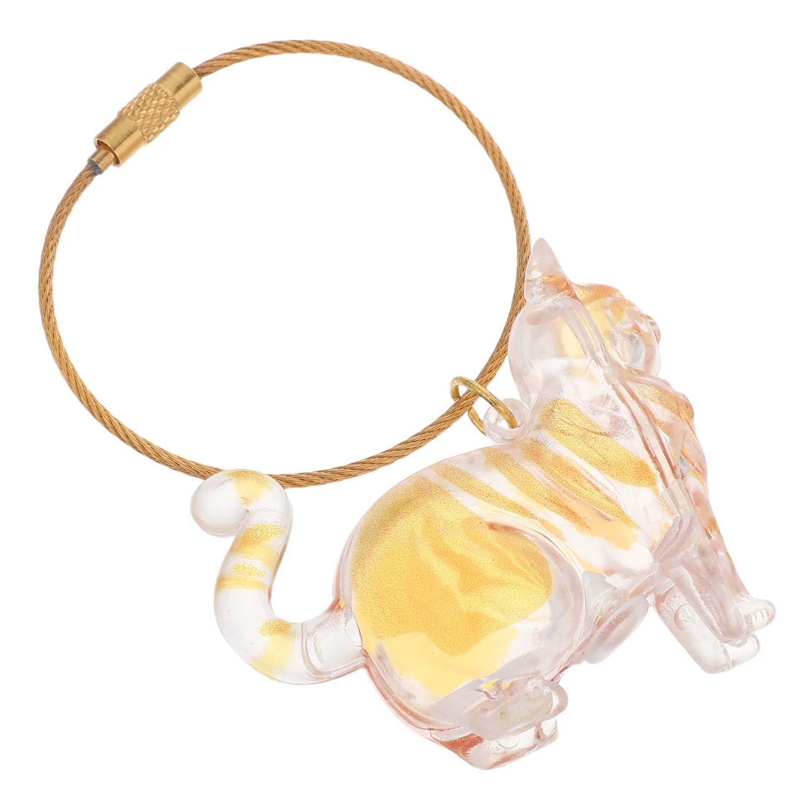 

Transparent Cat Hair Storage Capsule Keychain Pet Keepsake Box Organizer for Memorial Ashes Puppy Hair Party Souvenirs