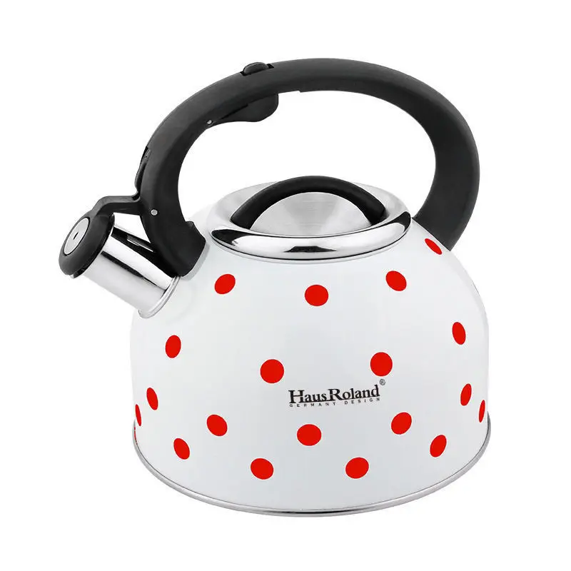304 Stainless Steel Thickened Horn Large Capacity Gas Kettle Domestic Kettle Gas Stove Induction Cooker - view 3