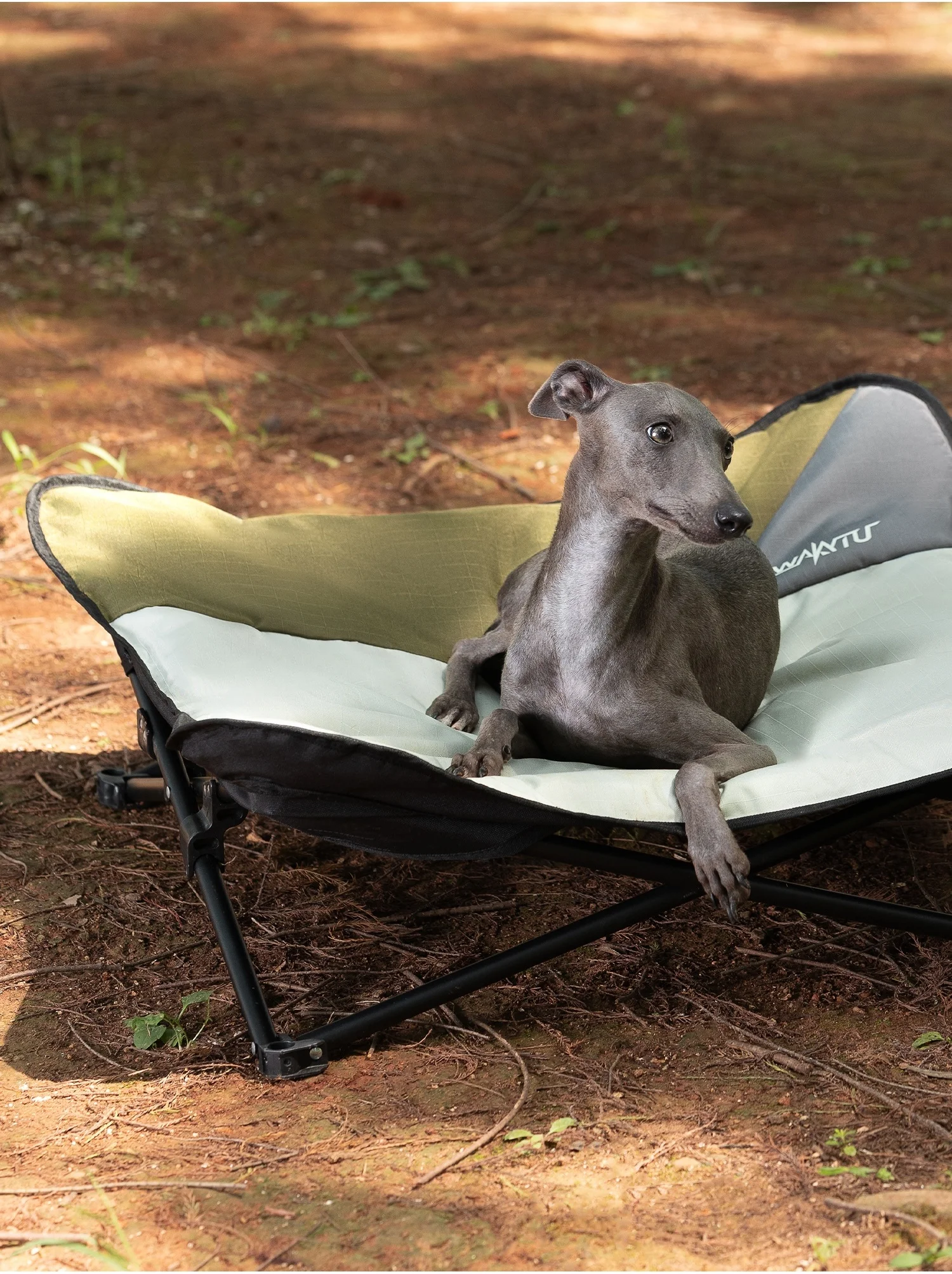 เตียงสัตว์เลี้ยงพับได้แบบพกพา - Outdoor Camping Dog Bed บทวิจารณ์และราคา