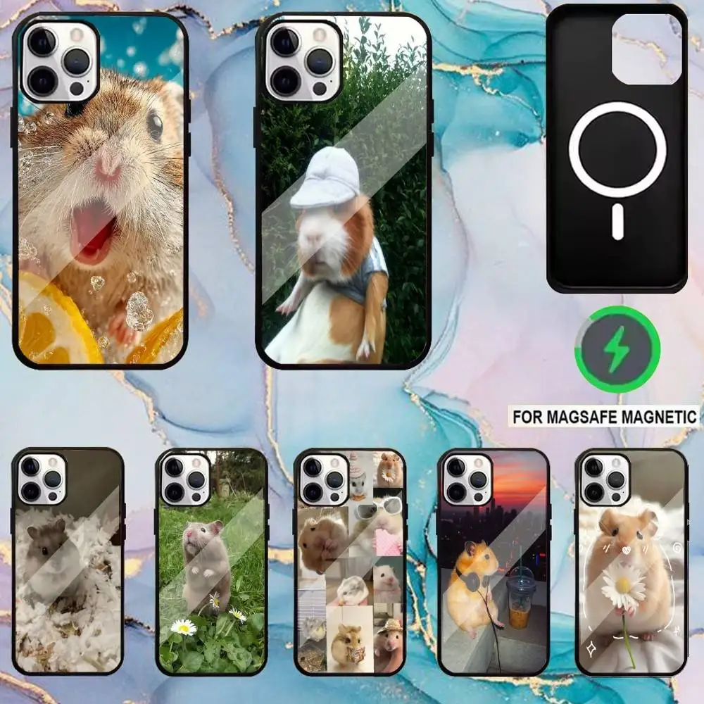 

Cute Animal Hamster Phone Case For iPhone17,16,15,14,13,12,11 Plus,Pro Max Magnetic Magsafe Wireless Charging