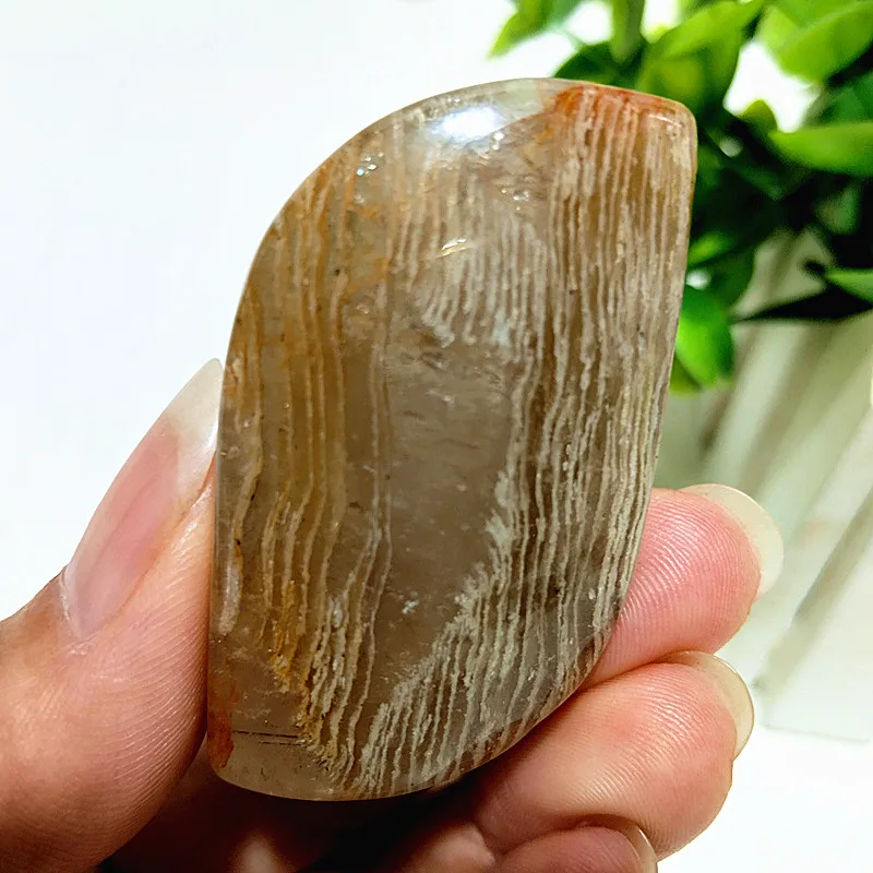 Natural Stones Garden Thousand Layer Phantom Quartz Accompany Palm Witchcraft Spiritual Meditatio Reiki Feng Shui Decoration