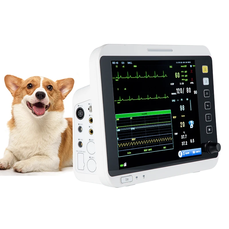 

Paciente Veterinary Pacient Multiparameter Veterinary