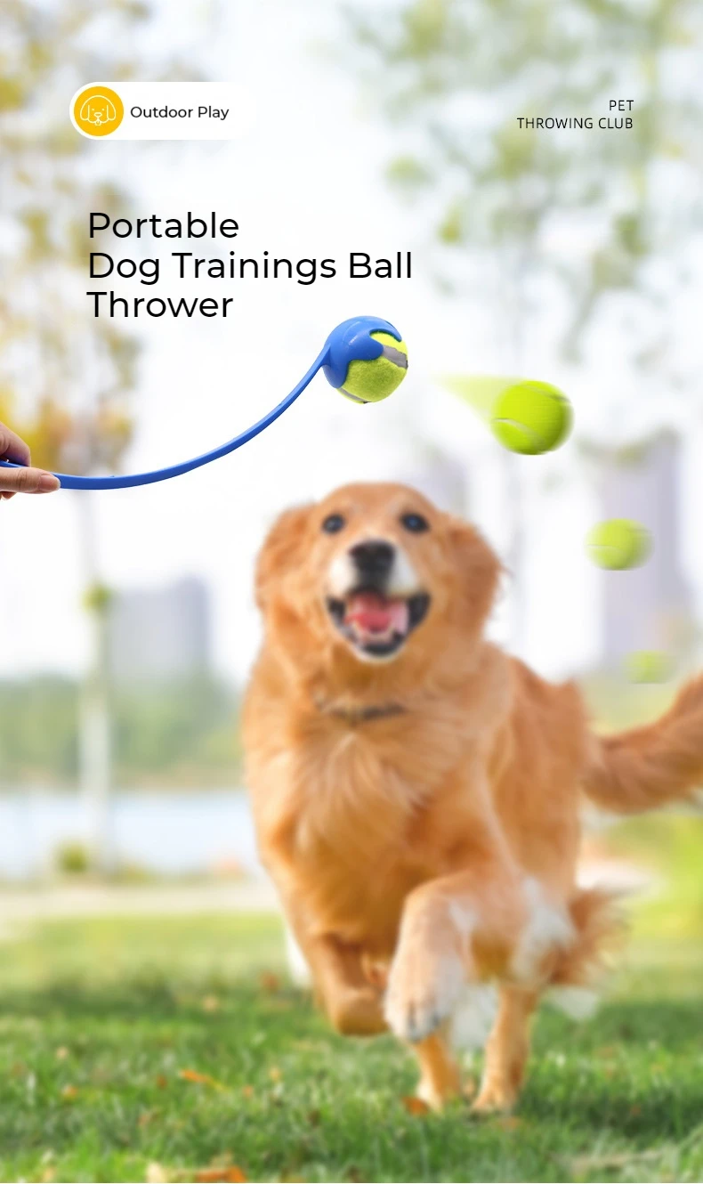 Dog Trainings Ball Thrower Pole, Outdoor Training, Interactive Tennis Ball, Toss Pet Toys, Pets Accessories