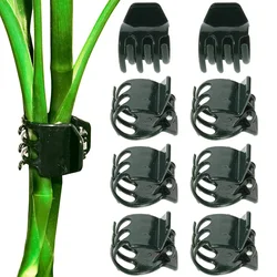 20/50pcs Large Size Garden Plant Clips Support Orchid Stem Clip for Vine Vegetables Flower Tied Bundle Branch Clamping Tool