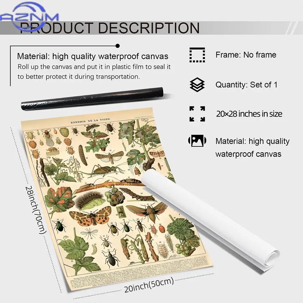 AZNM Vintage Chart Entomology Painting Calligraphy Canvas Poster Wall Art interior Hallway Home Decoration Holiday Gifts