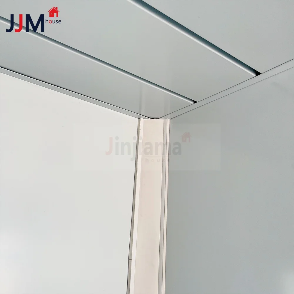 Customized Assembly's Modern Style 10ft 40ft Modular Prefabricated Flat Pack Container Houses Luxury Living Home Sandwich Pa