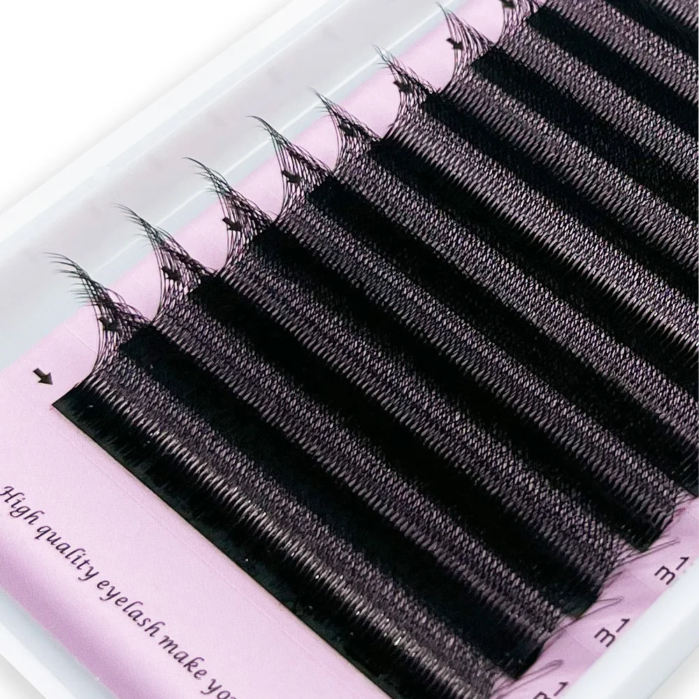 Picture 3: W Shape 3D 4D 5D 6D Premade Fan Eyelashes C D Curl Natural Soft Individual Cluster Lashes Professional Makeup Eyelash Extension