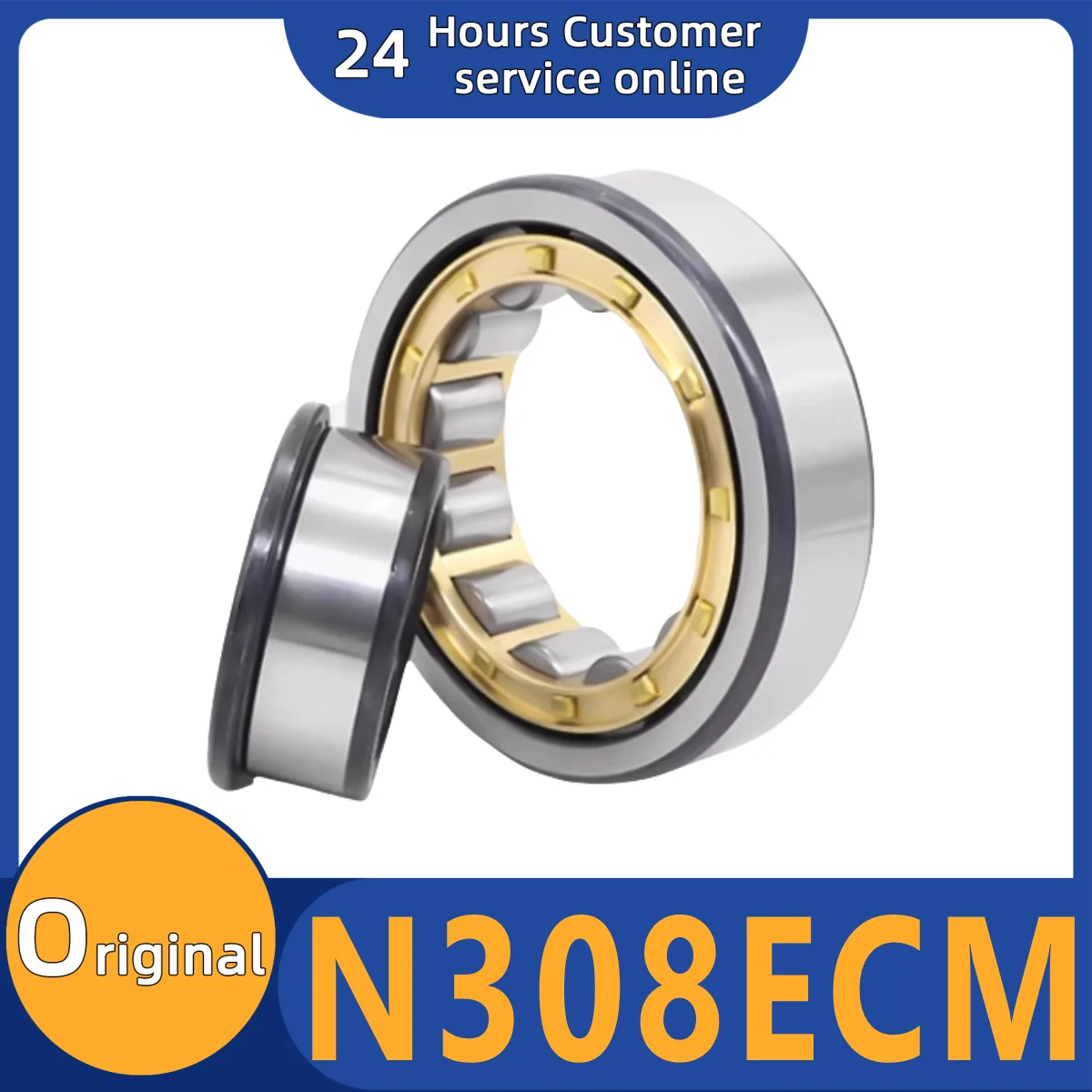 

Brand new original bearing N308ECM N309ECM RN304ECM RN305ECM