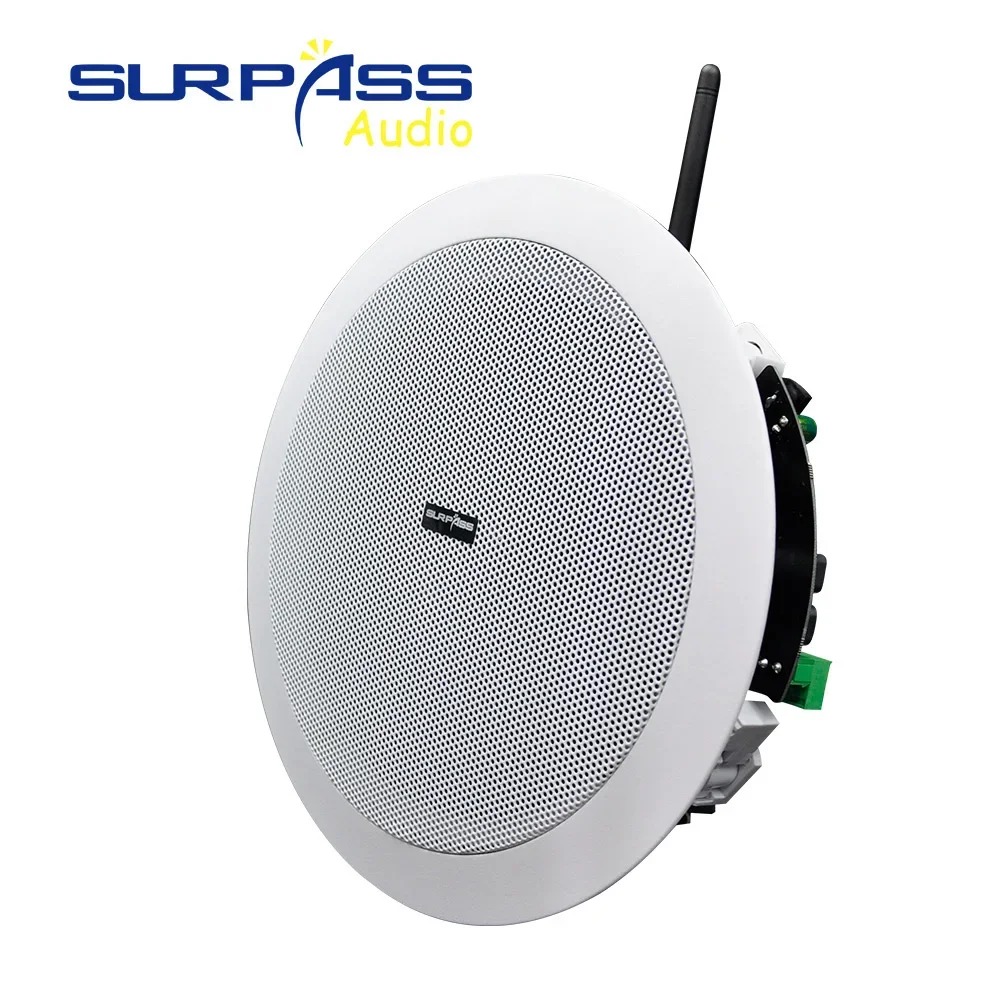 Wireless WiFi Ceiling Speaker Kit Bluetooth Loudspeaker Home Theater Audio Stereo Background Music Sound System App Control