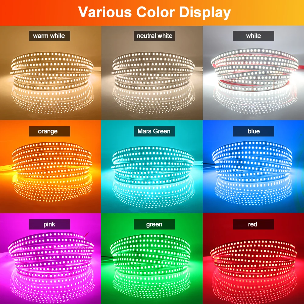 5M 10M 2835 LED Strip Light 12V 24V Warm White Red Green Blue Orange Pink Yellow 120 180 LEDs Fiexible Tape DC Home Lighting