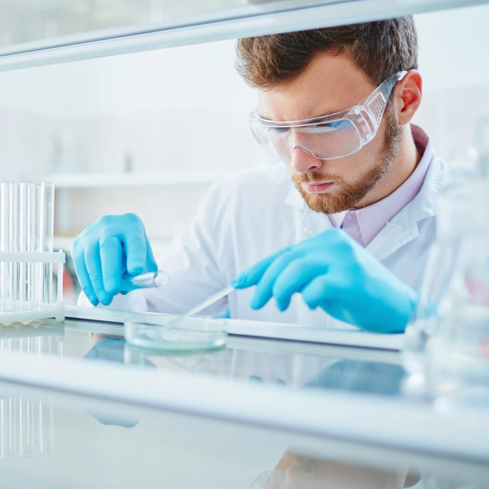 

10pcs Disposable Plastic Culture Dishes 90mm Two Compartments Lab Cell culture Plates Dust proof Cover Smooth Bottom