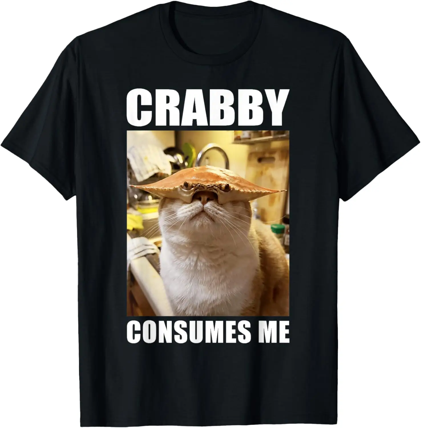 Crabby Consumes Me Internet Cat Funny Gen-Z Meme T-Shirt 100% Cotton Trendy Y2K Short-Sleeve Tee-Soft, Quick-Drying,