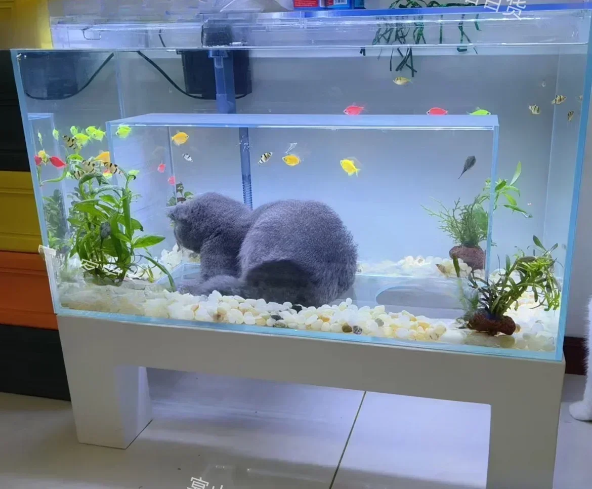 For 5-wire Ultra White Glass Cat Fish Tank Pet Water World Dual Hole