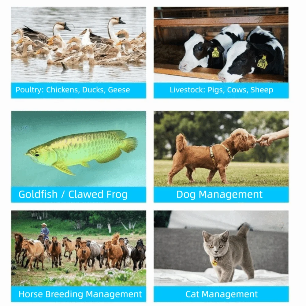 USB Charging Pet ID Reader Can Be Stored Handheld Pet Microchip Scanner Transmitting Data Animal Chip Scanner Pet Shop