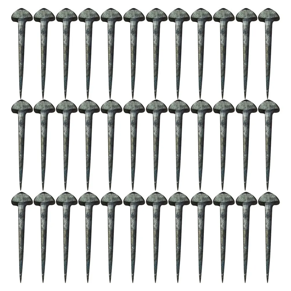 50 Pcs Horseshoe Small Professional Tools Equestrian Riding Nails Horseshoes Farrier for