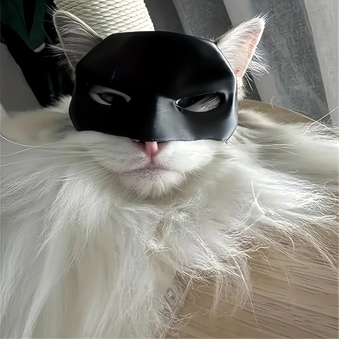 2-teilige Katzen-Avenger-Maske, schwarze Fledermaus-Halloween-Cosplay-Maske, lustige Plastik-Katzen-Party-Kopfbedeckung, Spielzeug, Foto-Requisiten, Haustier-Zubehör – Detail 7